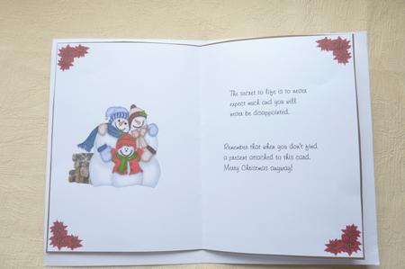 Happy in the Snow Insert1 by Rosina Walker