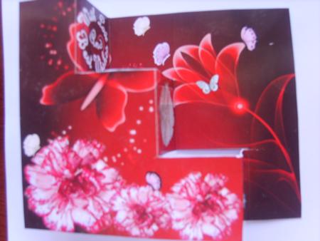 Carnations and Butterflies by Rosina Walker