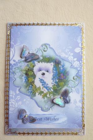 Westie with Delphiniums and Butterflies Decoupage by Rosina Walker