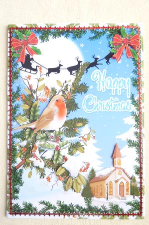 Beautiful Christmas Robin by Rosina Walker