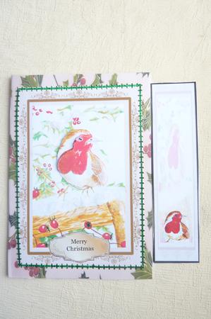 Red Robin by Rosina Walker
