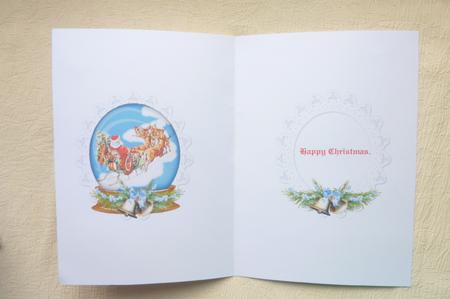 Santa Snowglobe Insert by Rosina Walker