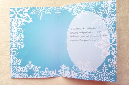Blue and White Snowflake Insert by Rosina Walker
