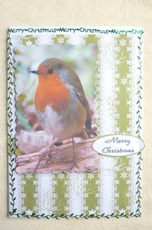 Robin Scalloped Snow by Rosina Walker