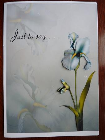 Beautiful Flower Quick Card #4 by Rosina Walker