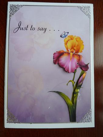 Beautiful Flower Quick Card #6 by Rosina Walker