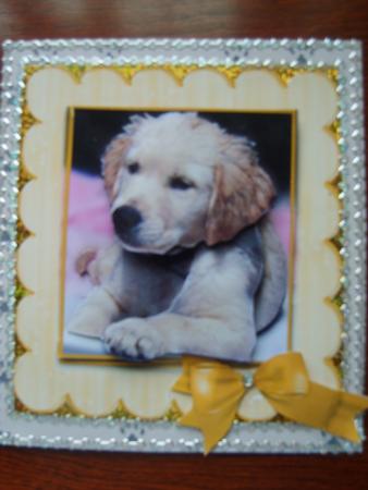 Wet Puppy Topper by Rosina Walker