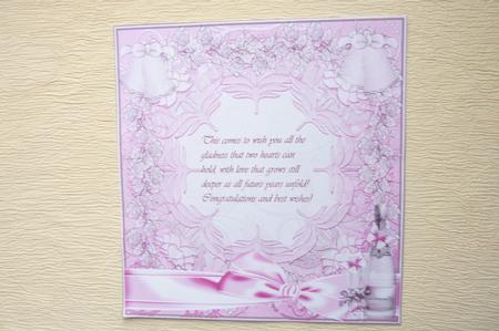 Insert to Compliment Wedding Day Pinks and Silver by Rosina Walker