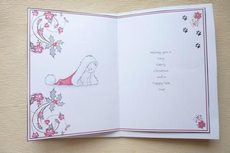 Christmas Kitten Insert by Rosina Walker