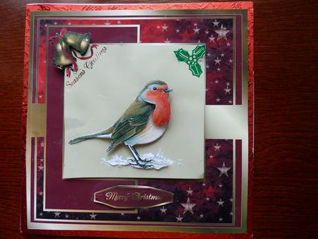 Christmas Robin by Rosina Walker
