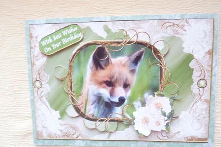 Cute Little Fox by Rosina Walker