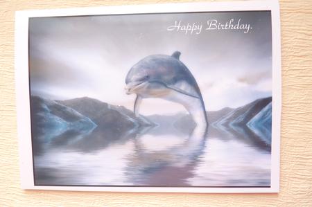 Dolphin Fantasy A4 by Rosina Walker