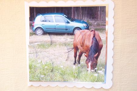 Car and Horse Shell Edged Corner Stacker by Rosina Walker