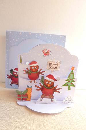 3D Pop Up Front Xmas Robins Card Kit by Rosina Walker