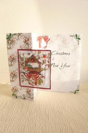 Snowy Birdhouse Fold Back Card by Rosina Walker