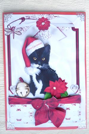 Cute Kitty in Santa Hat in Lace Frame by Rosina Walker