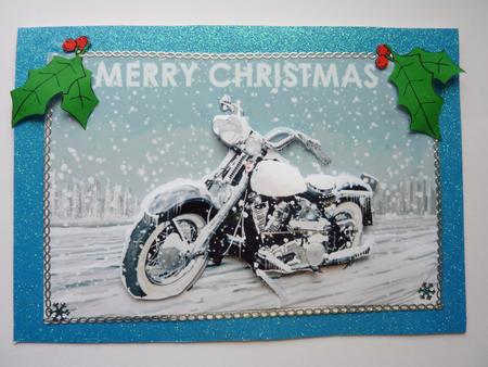 Snowbound Harley Davidson by Rosina Walker