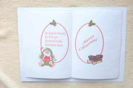 Christmas Insert - Sleeping Santa by Rosina Walker