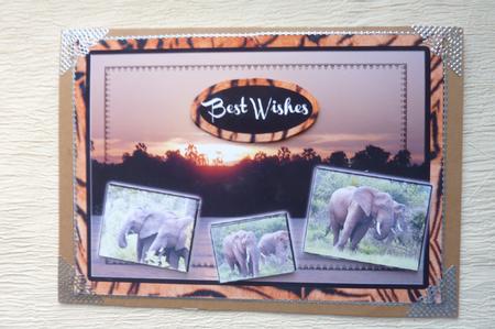 Africa Elephants in the Sunset by Rosina Walker