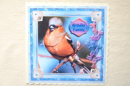 Chaffinch Birthday Tweets by Rosina Walker