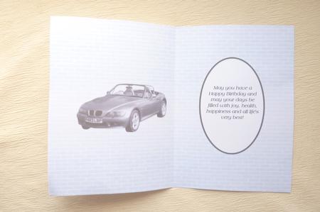 Blue Car Insert by Rosina Walker