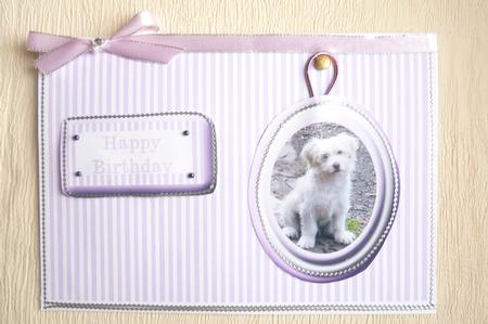 Dog in a Frame by Rosina Walker
