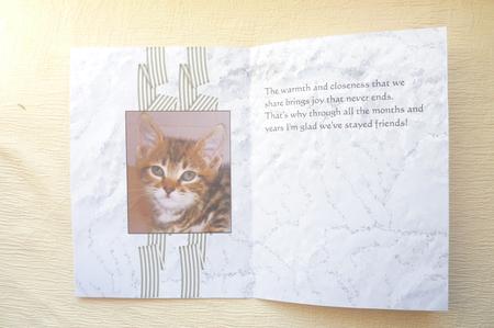 Insert Trim to Suit Your Card Cats by Rosina Walker