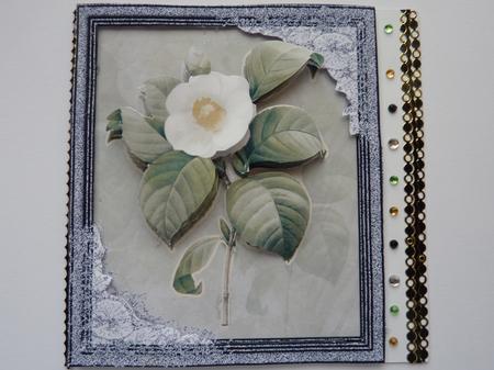 Floral by Rosina Walker