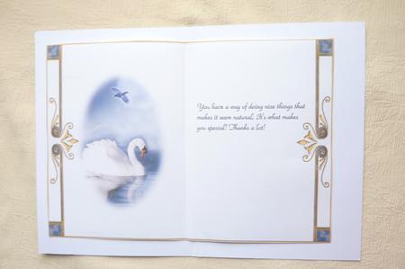 Lone Swan Insert by Rosina Walker