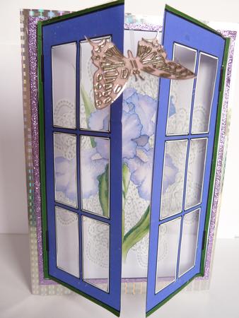 Through My Window Iris and Lace by Rosina Walker