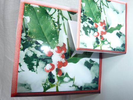 Holly Berries in the Snow - Base Card by Rosina Walker
