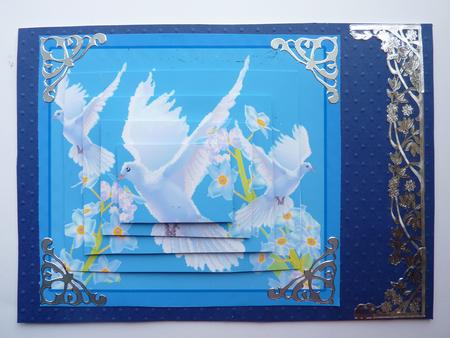 On the Wings of a Snow White Dove by Rosina Walker