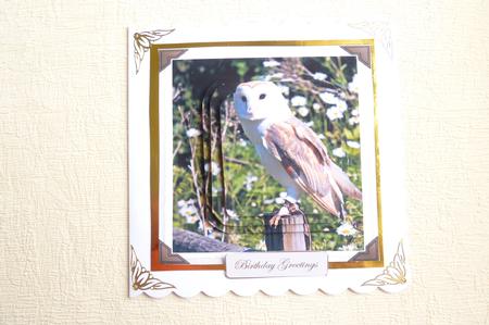 Barn Owl Card Front with Three Pyramid Layers by Rosina Walker