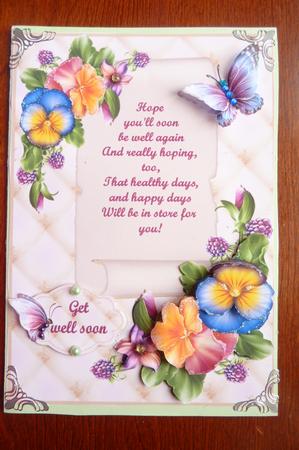 Pansies Berries and Butterflies Get Well by Rosina Walker