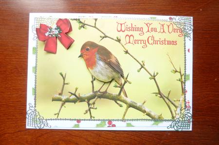 Cute Little Robin A4 by Rosina Walker