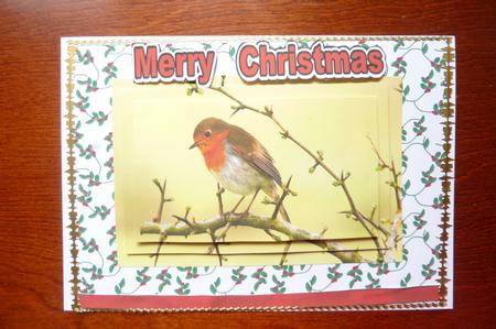 Cute Little Robin Pyramids by Rosina Walker