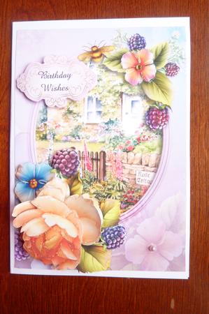 Pretty Peach Rose Cottage by Rosina Walker