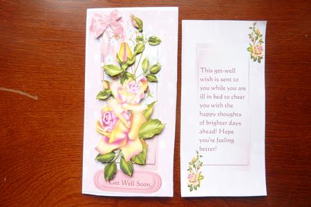 Lovely Yellow and Pink Roses with Incert (d.l) by Rosina Walker