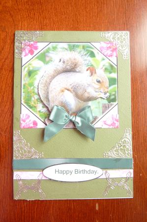 Squirrell Topper by Rosina Walker