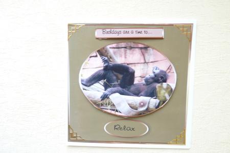 A Time to Relax Gorilla by Rosina Walker
