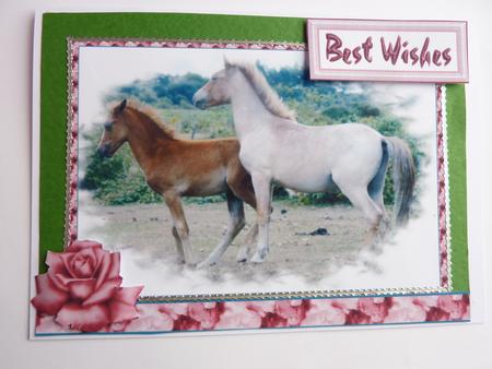 Frolicking Ponies by Rosina Walker