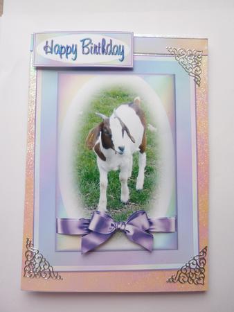 Cute Little Goat by Rosina Walker