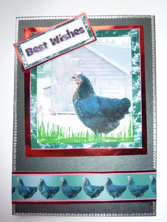 Chicken by Rosina Walker