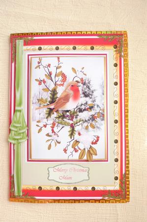 Beautiful Christmas Robin by Rosina Walker