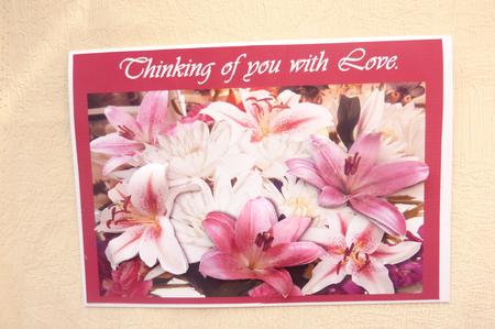 Lots of Lilies with Love by Rosina Walker