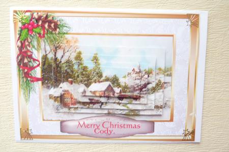 Lovely Christmas Village in the Hills ( Pyramarge) by Rosina Walker