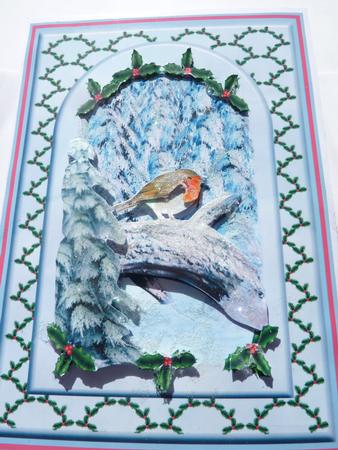 Christmas Robins 2 - Christmas Step by Step by Rosina Walker
