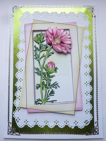 Floral Framed 4 by Rosina Walker