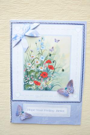 Poppies and Daisies with Butterflies Decoupage Sheet by Rosina Walker