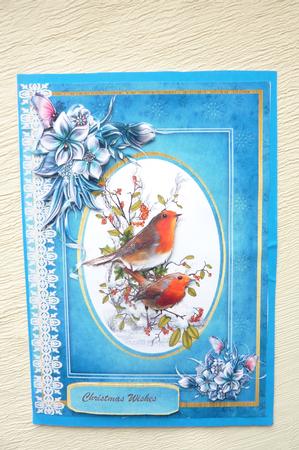 Lovely Robins and Winter Flowers by Rosina Walker